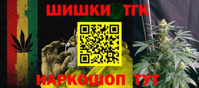 МДПВ Пенза