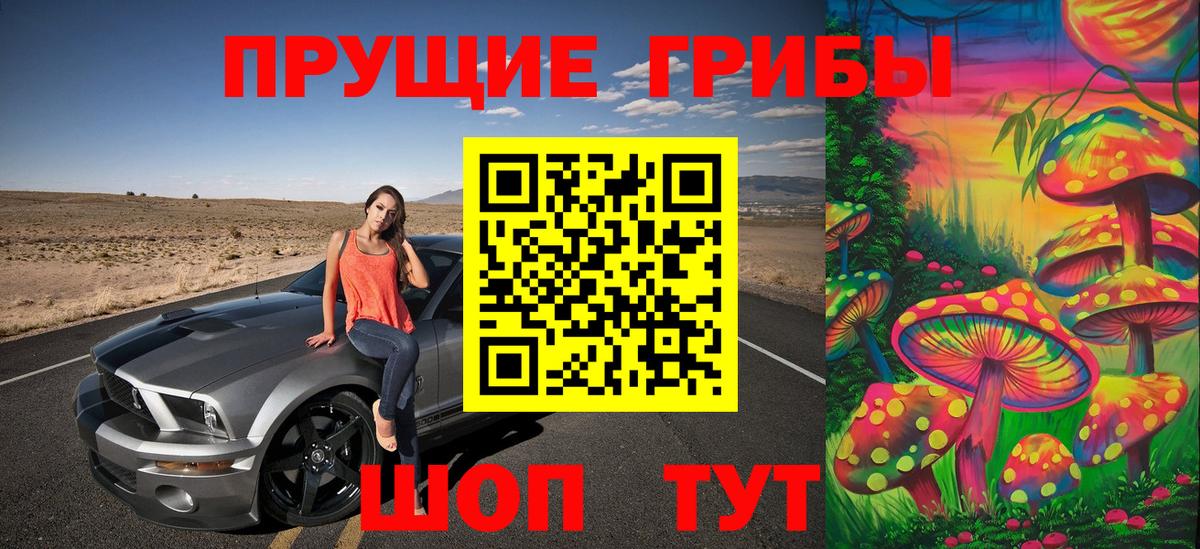 Галлюциногенные грибы Psilocybe Семилуки